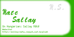 mate sallay business card