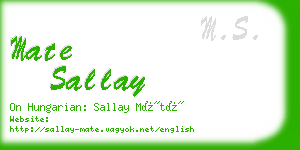 mate sallay business card